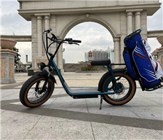 Golf  Electric scooter 20inch Fat Tire Electric Scooter